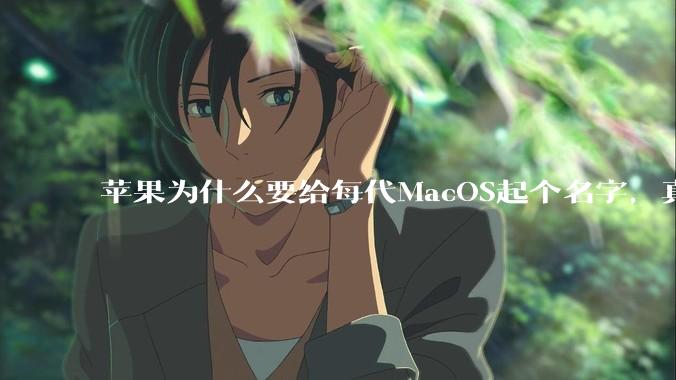 苹果为什么要给每代MacOS起个名字，真以为人们记得住分得清吗？