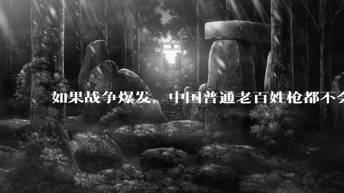 如果战争爆发，中国普通老百姓枪都不会打该怎样自卫？