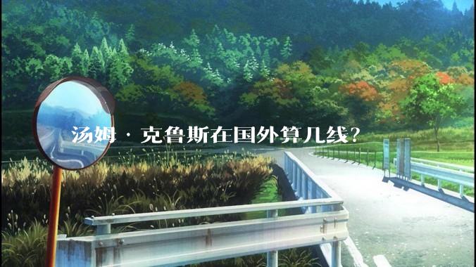 汤姆·克鲁斯在国外算几线？