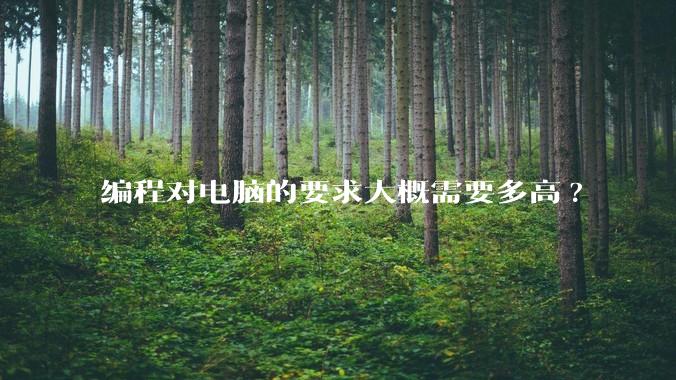 编程对电脑的要求大概需要多高?